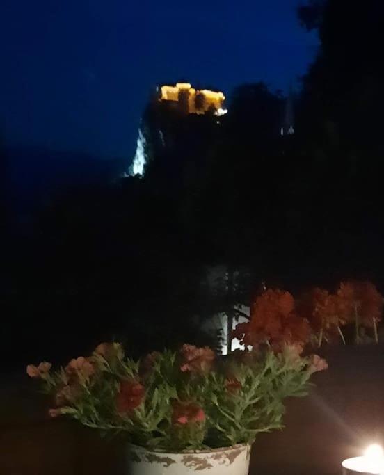 UpArt Bled