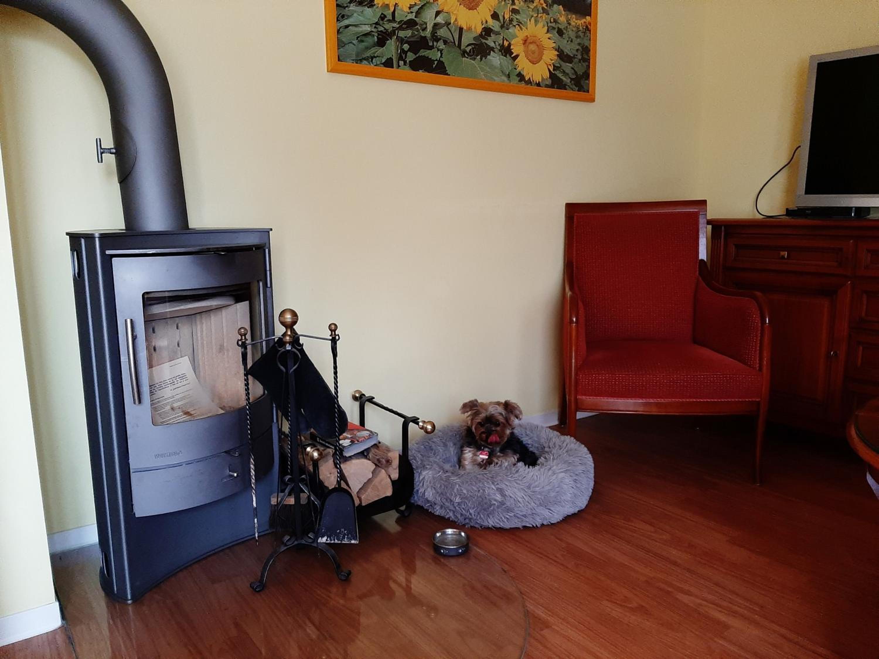 Residenz Lausitz - Apartments für Urlaub mit Hund