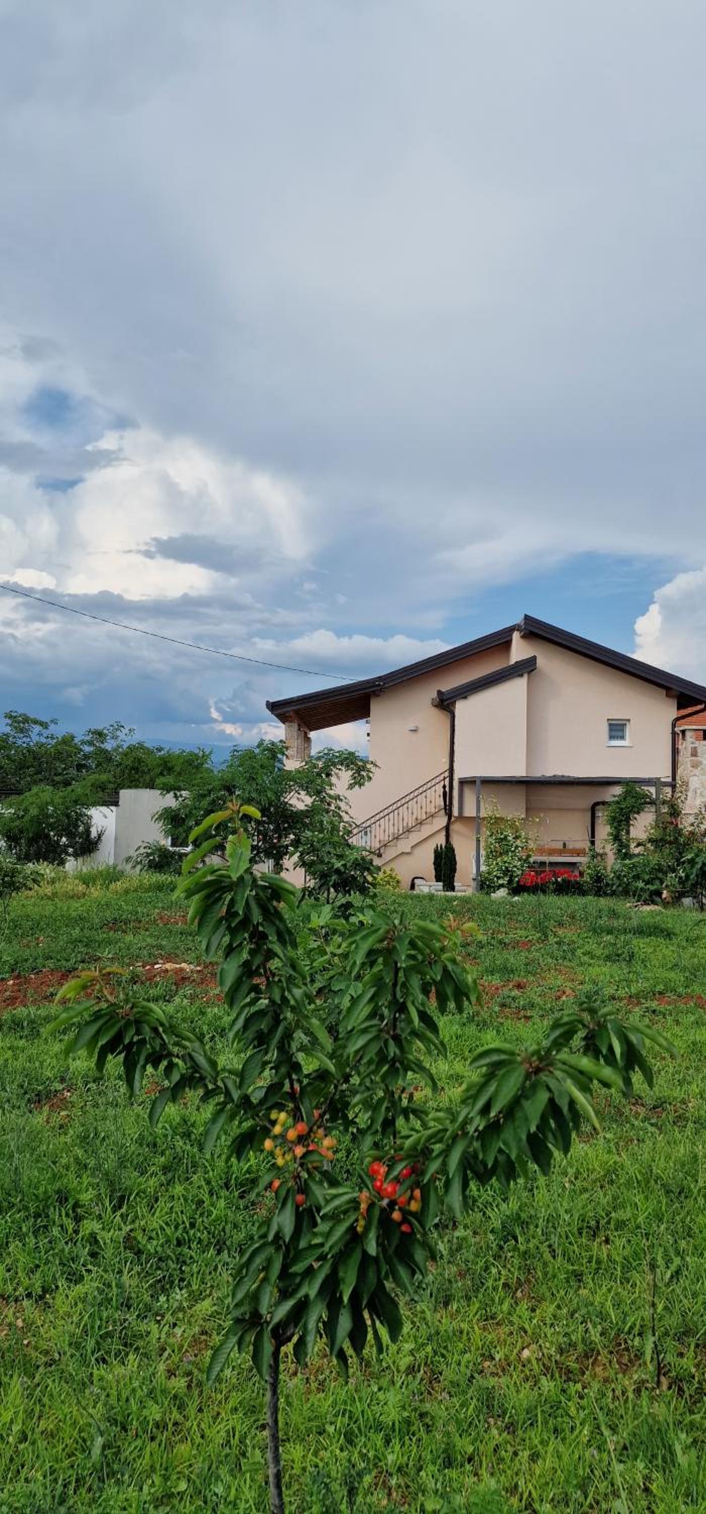 Villa Bali - Aladinici
