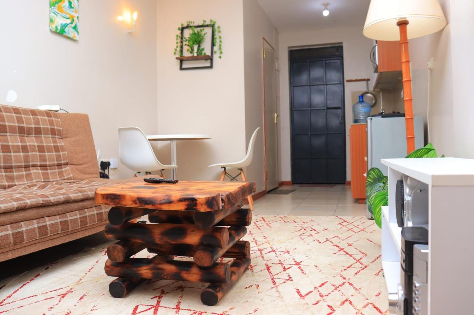 Nairobi - Studio - Sleeps 2 - Parking - Airport view 2