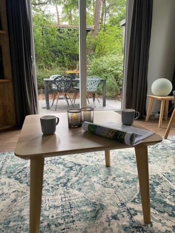 Lodge De Winterkoning view 5