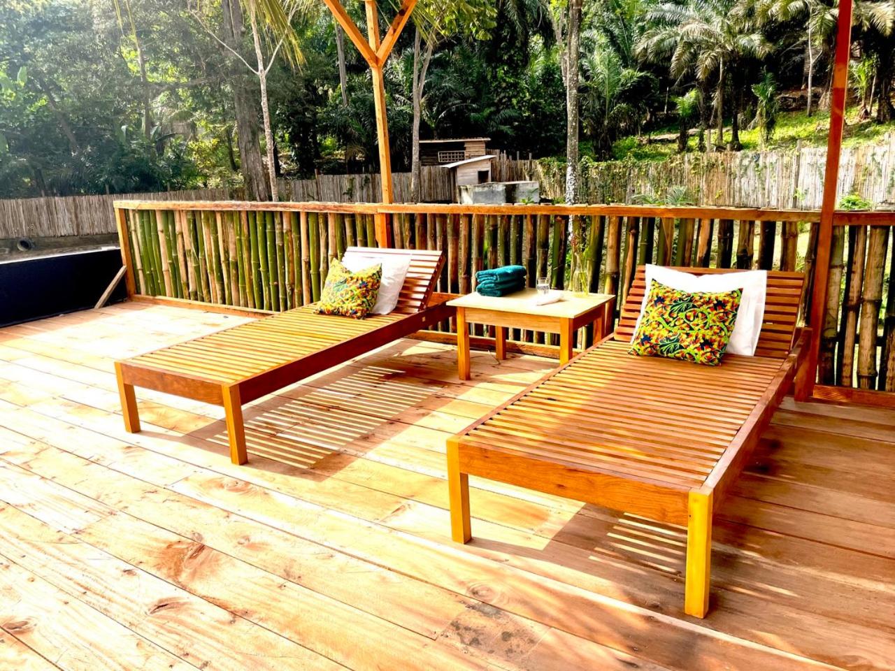Infinity-house simplicity and luxury in an eco environment view 5