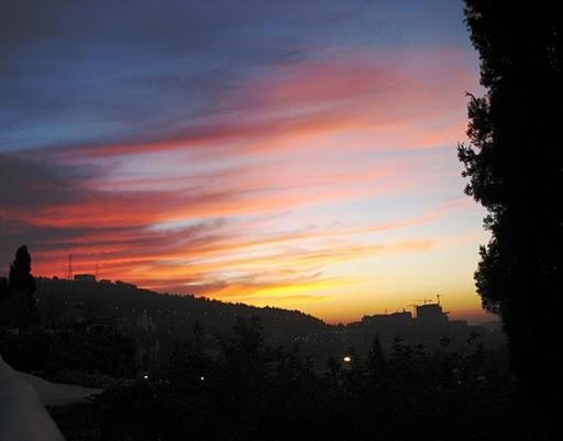 Photo 81