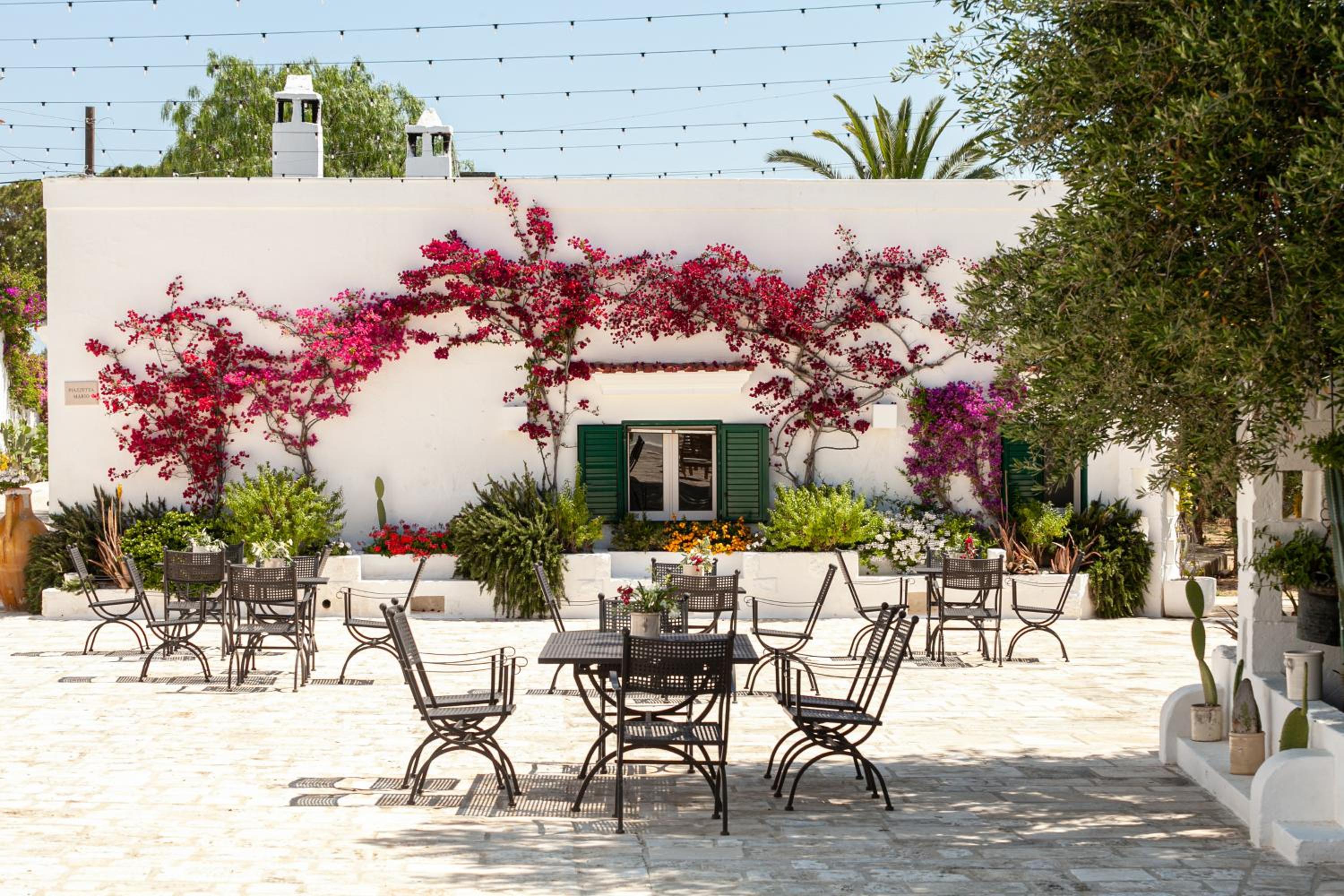 Masseria San Nicola Savelletri - B&B view 5
