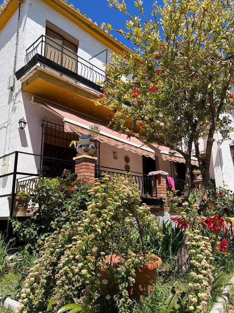 tuGuest Hortichuela House