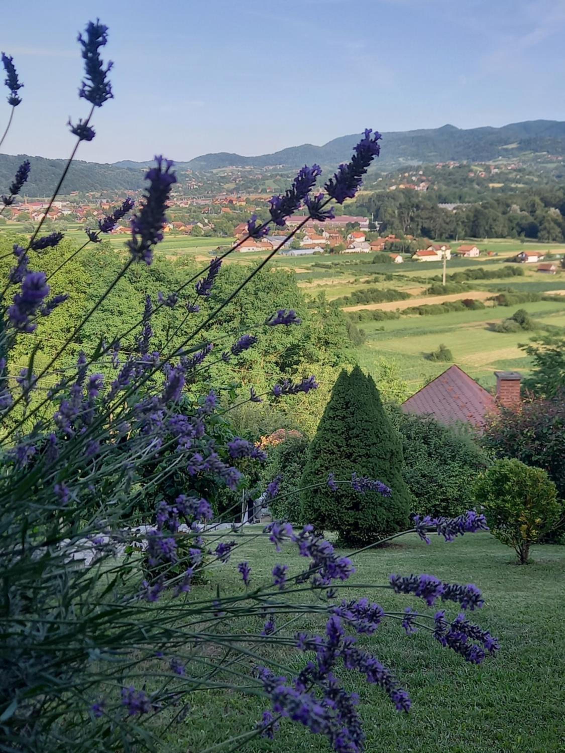 Kuća Za Odmor Barbara view 3