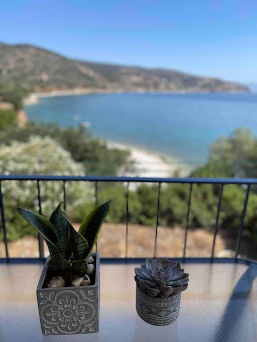Breathtaking Oceanfront View Home & Private Beach view 5