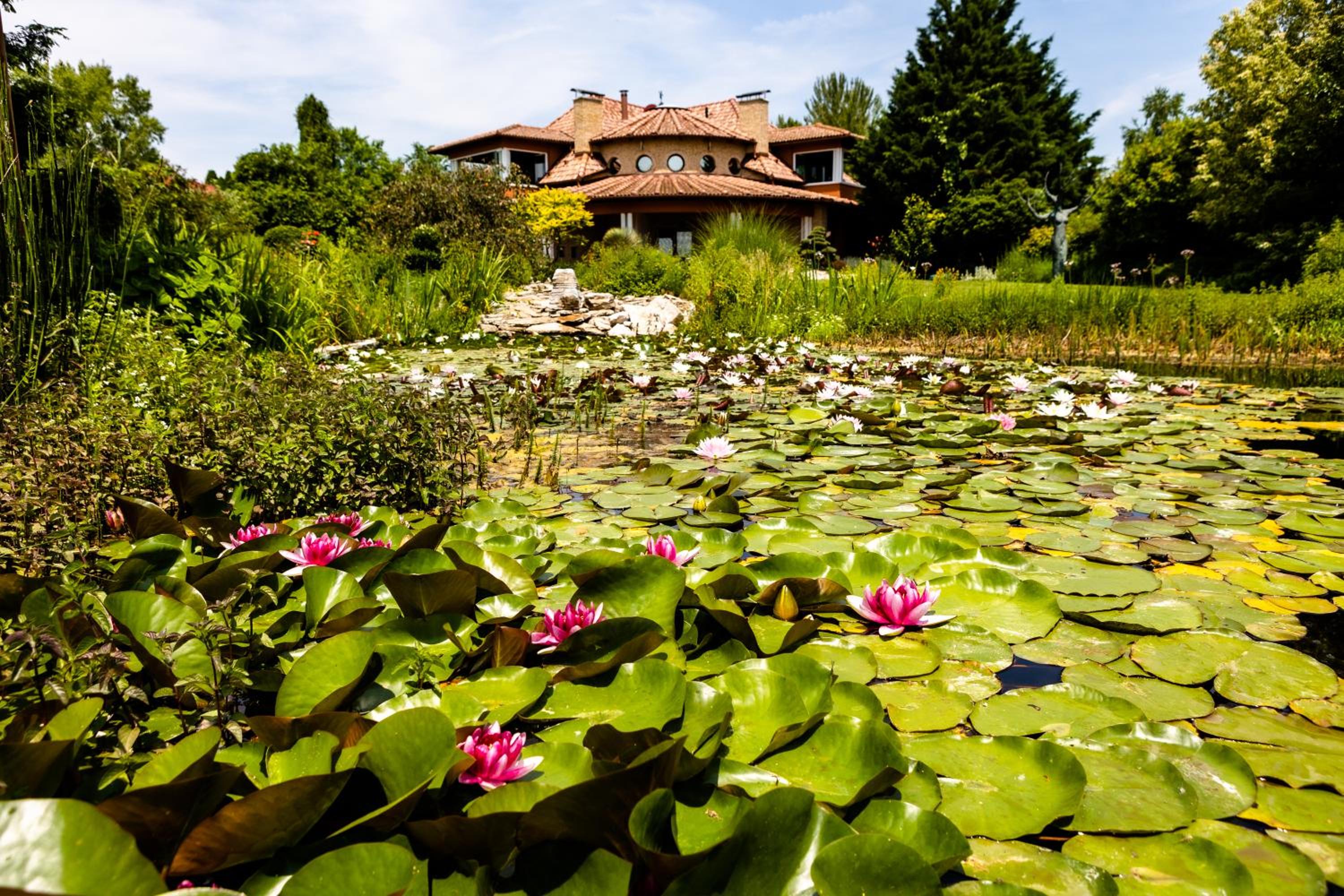 Photo 75