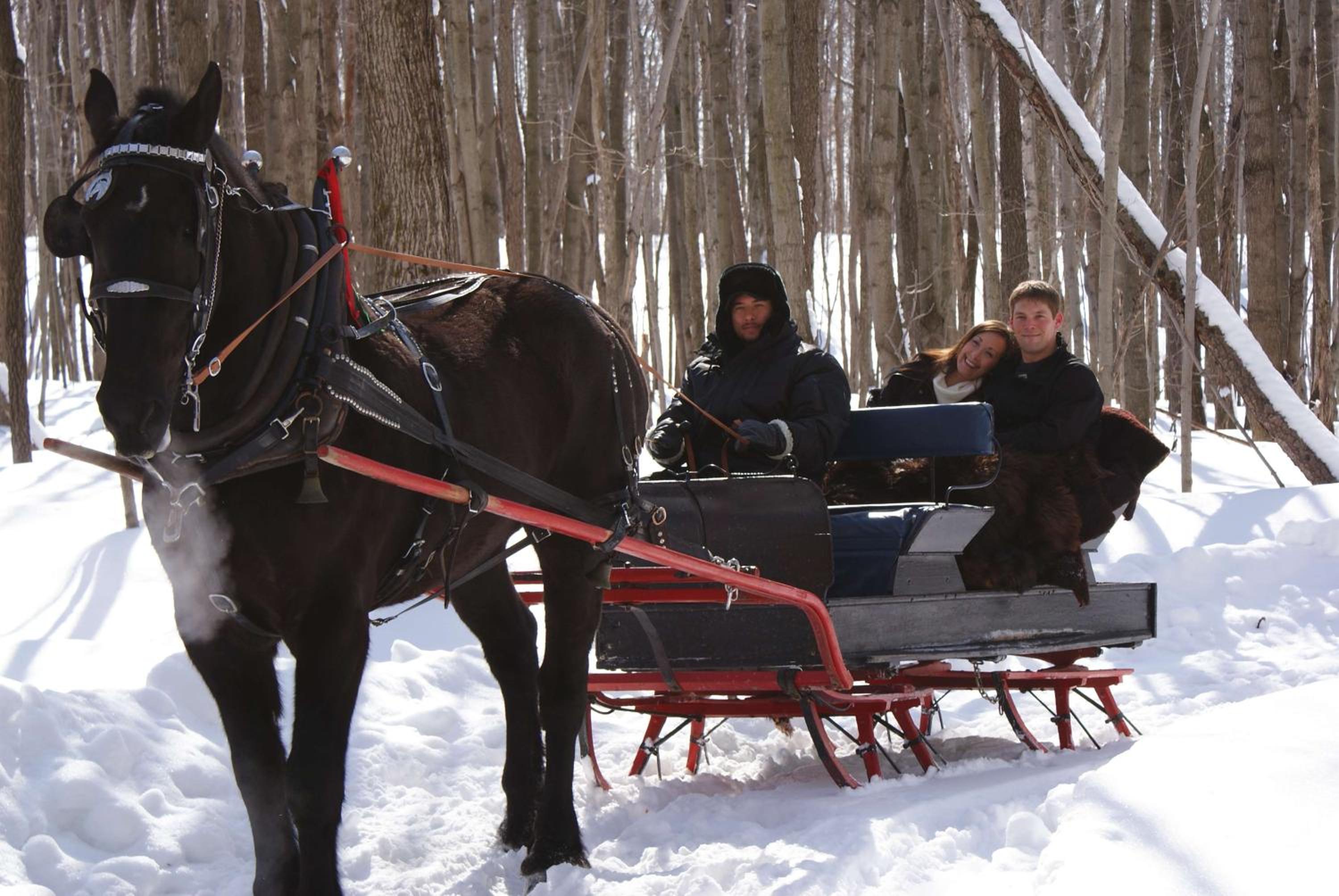Barrie Vacations - Hampton Inn  Suites by Hilton Barrie - Property Image 2