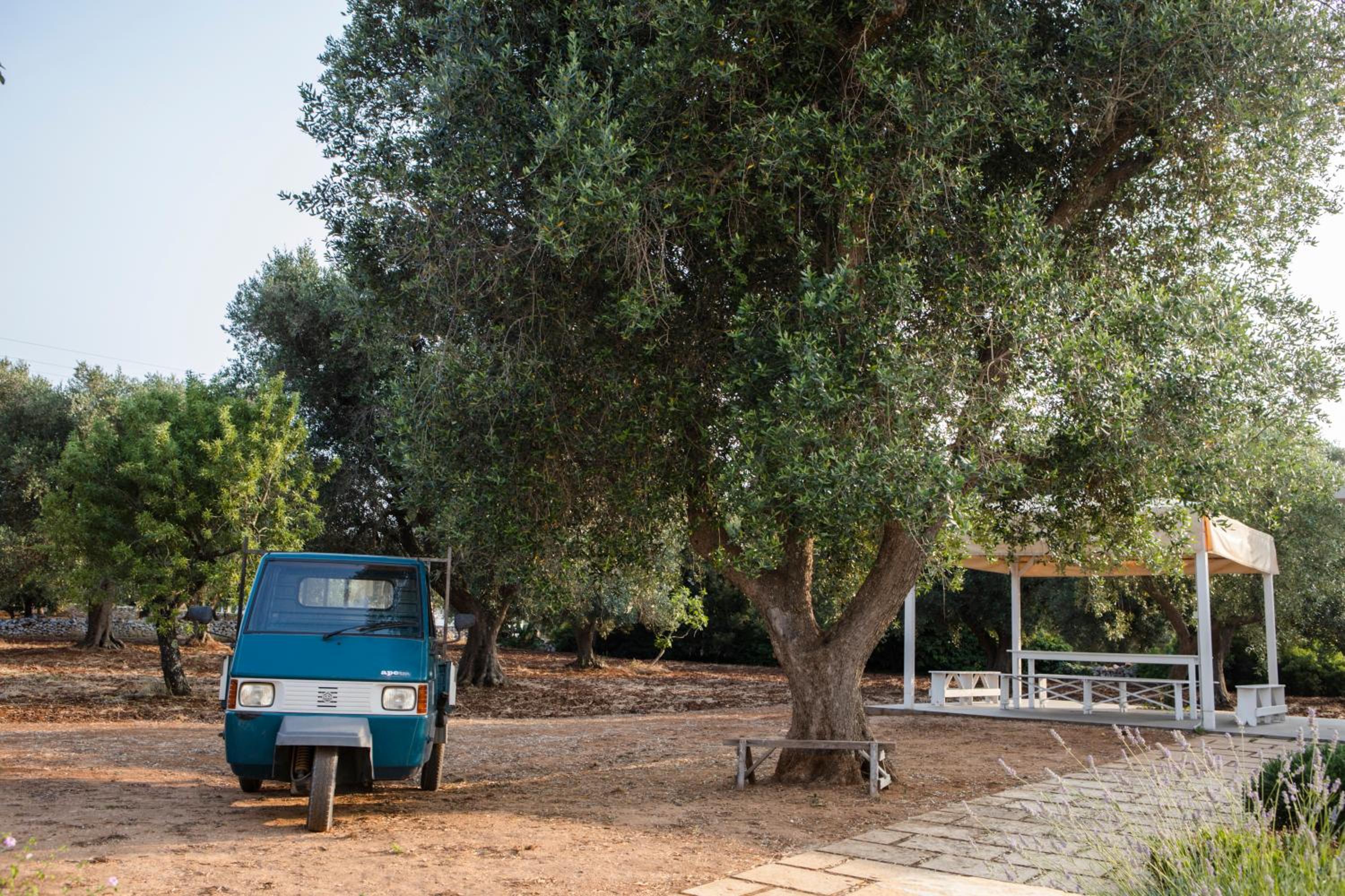 Trullo Porta Celeste