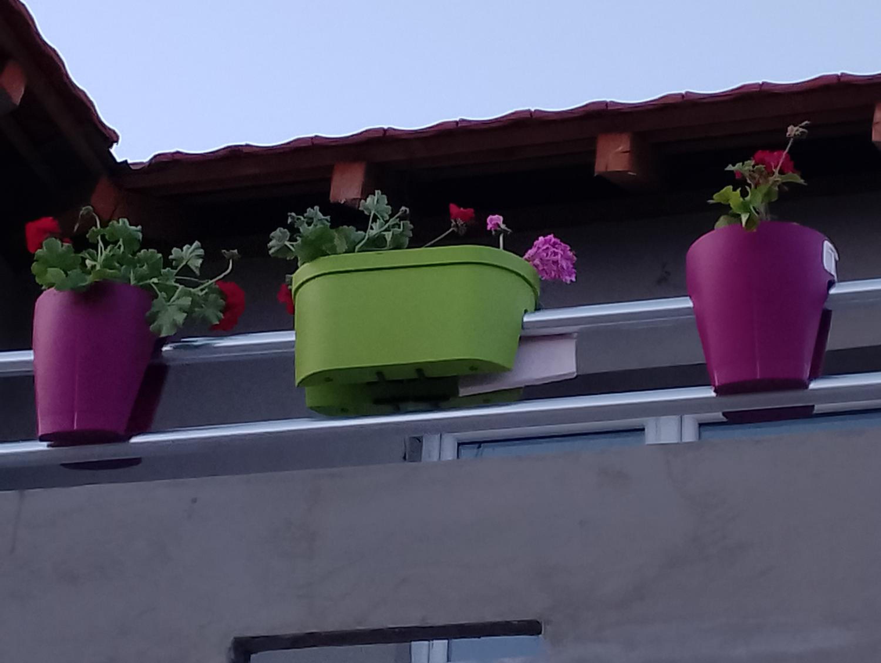 Vila Milica view 3