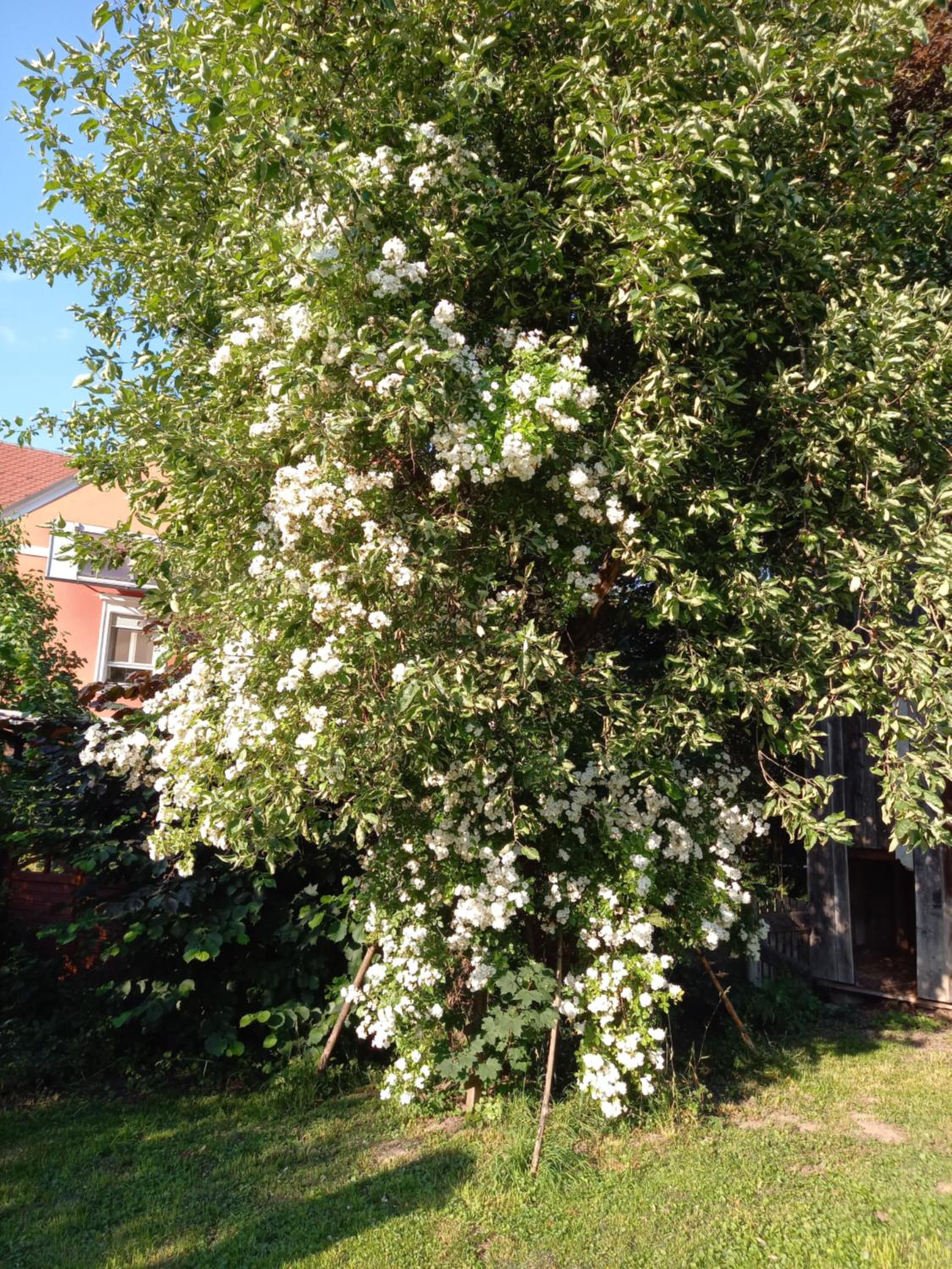Ferienwohnung Murtal