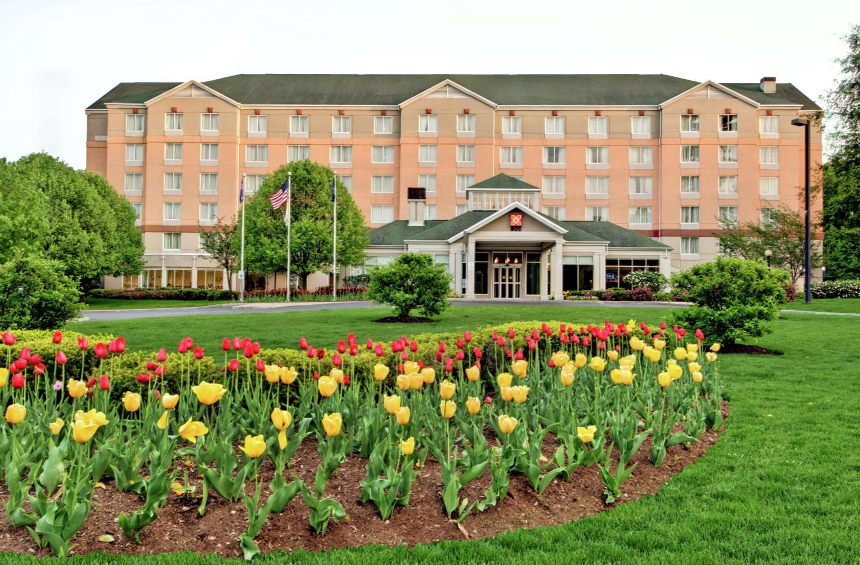 Hotel Hilton Garden Inn Albany Airport