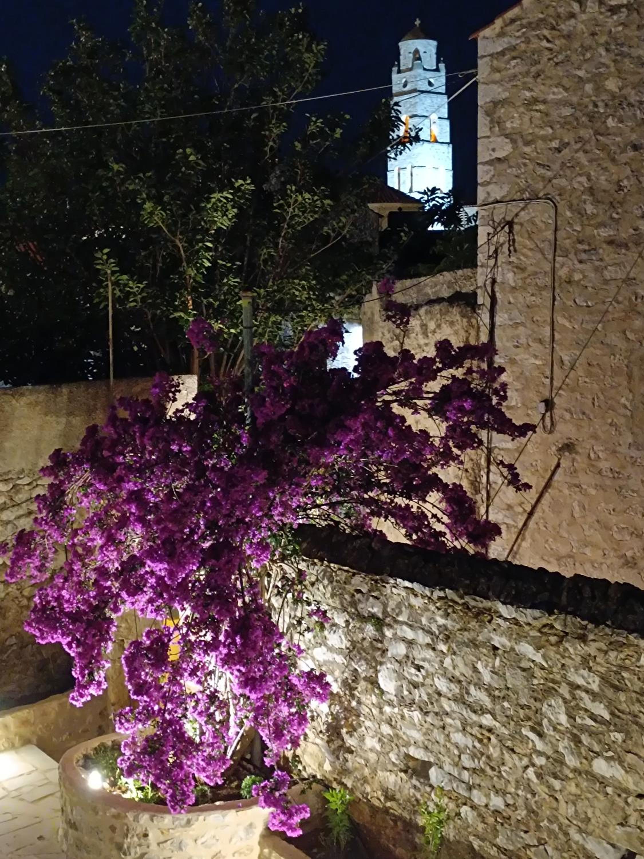Mainotti's house with balcony view 5