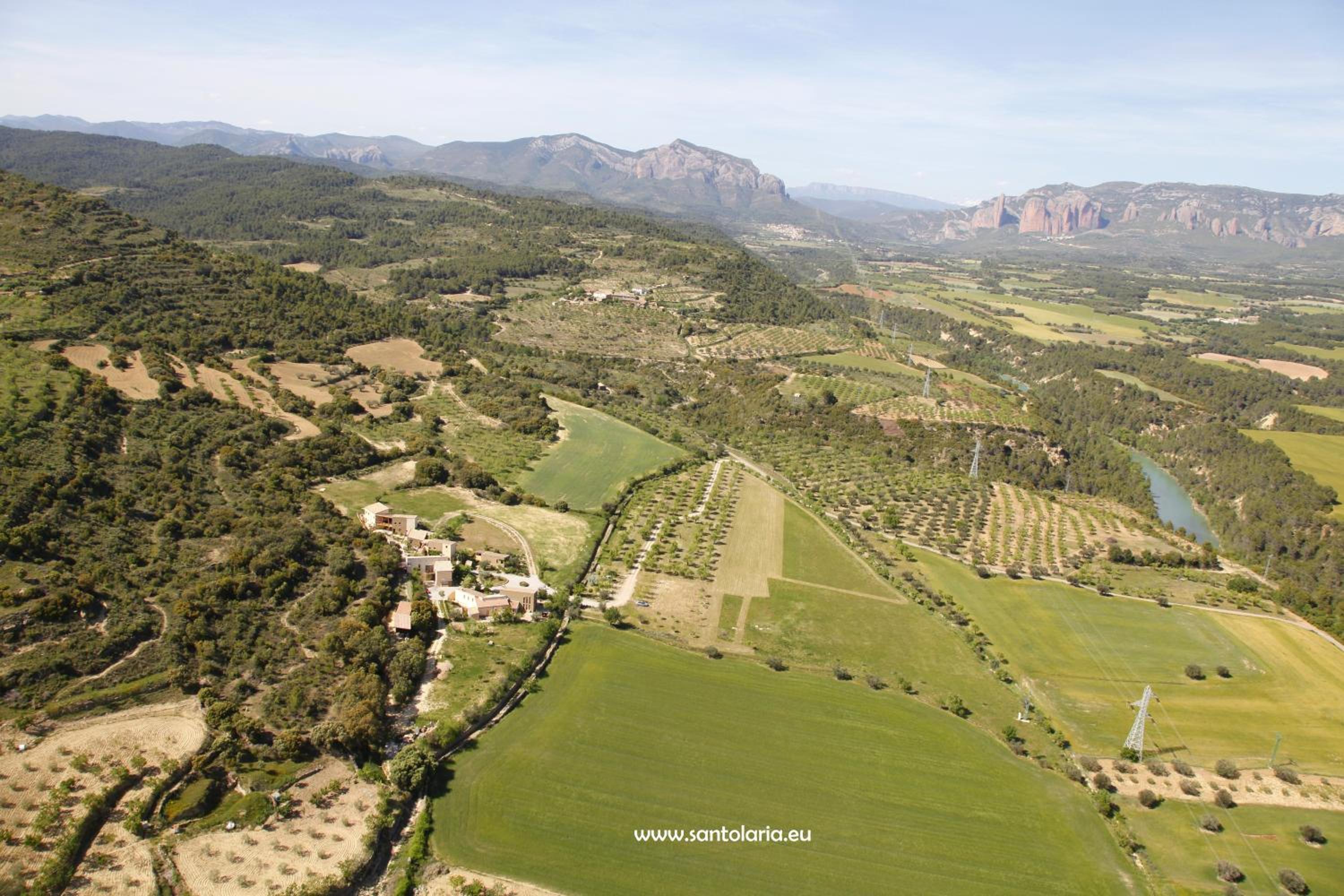 Alén D'Aragón
