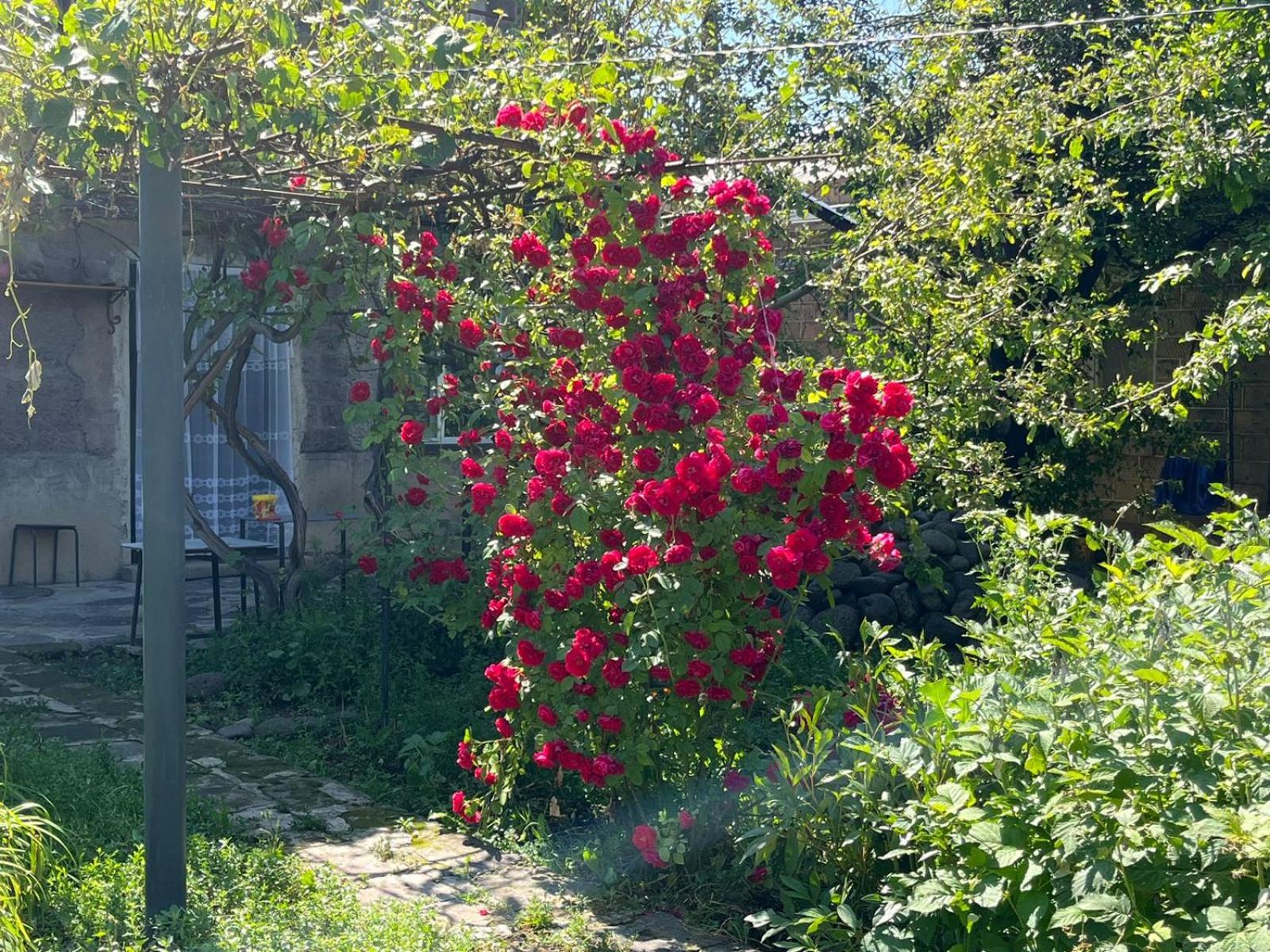 Papoyan Guest House