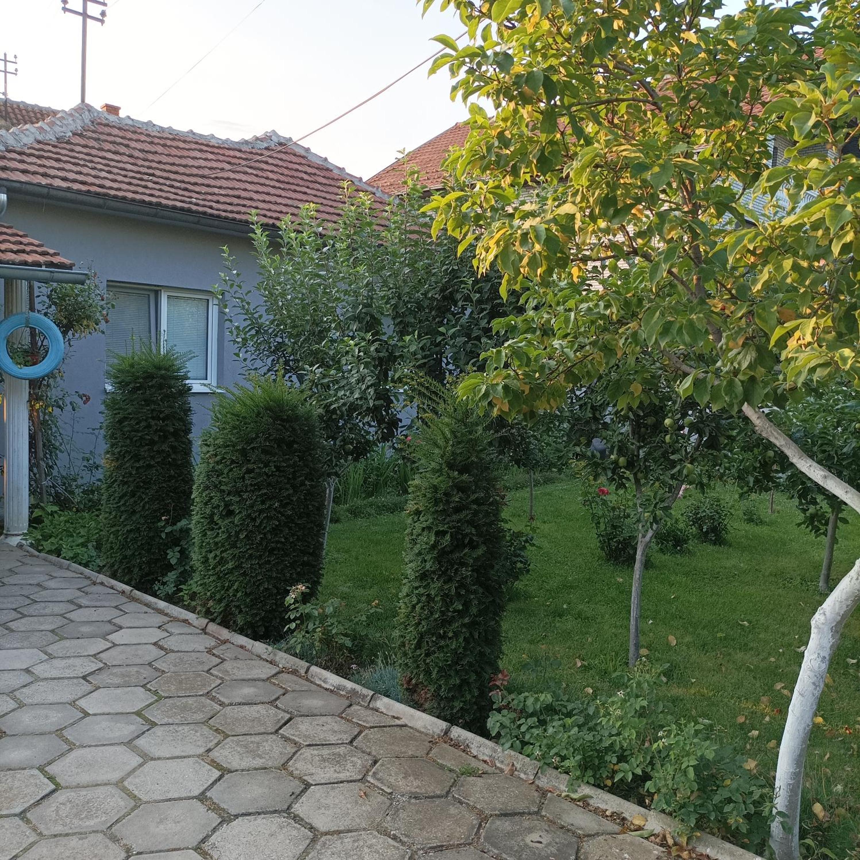 Photo 10