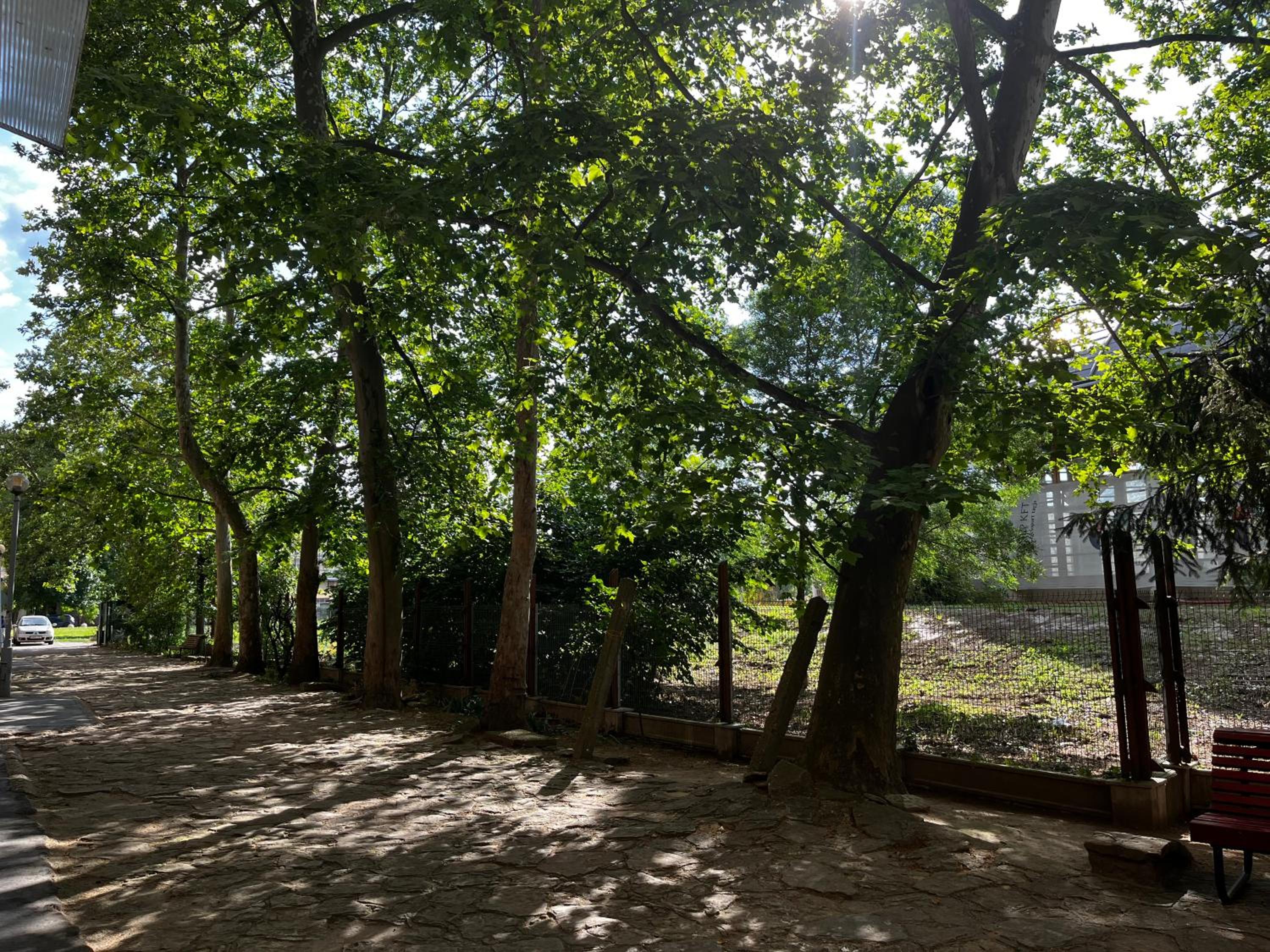 Borisz Apartman