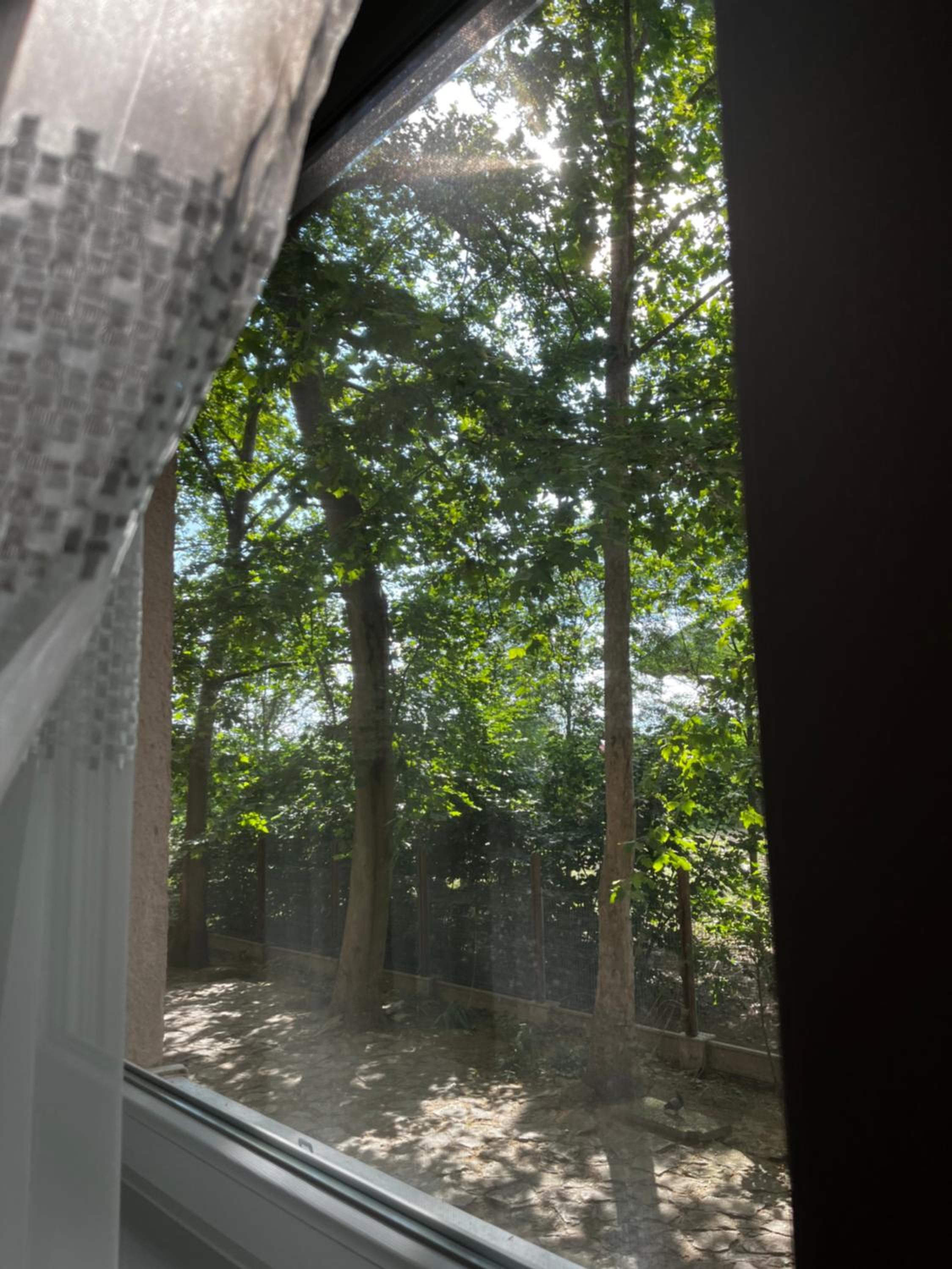 Borisz Apartman
