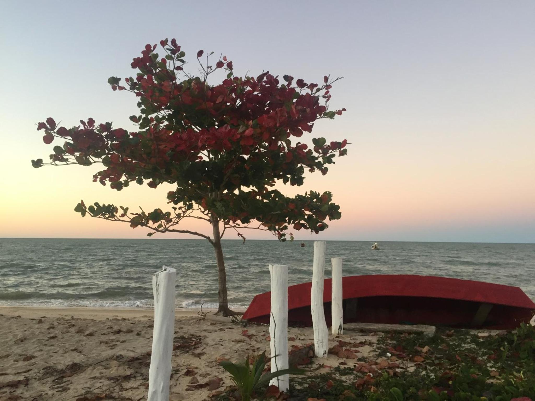 Chalés Mata da Praia Corumbau