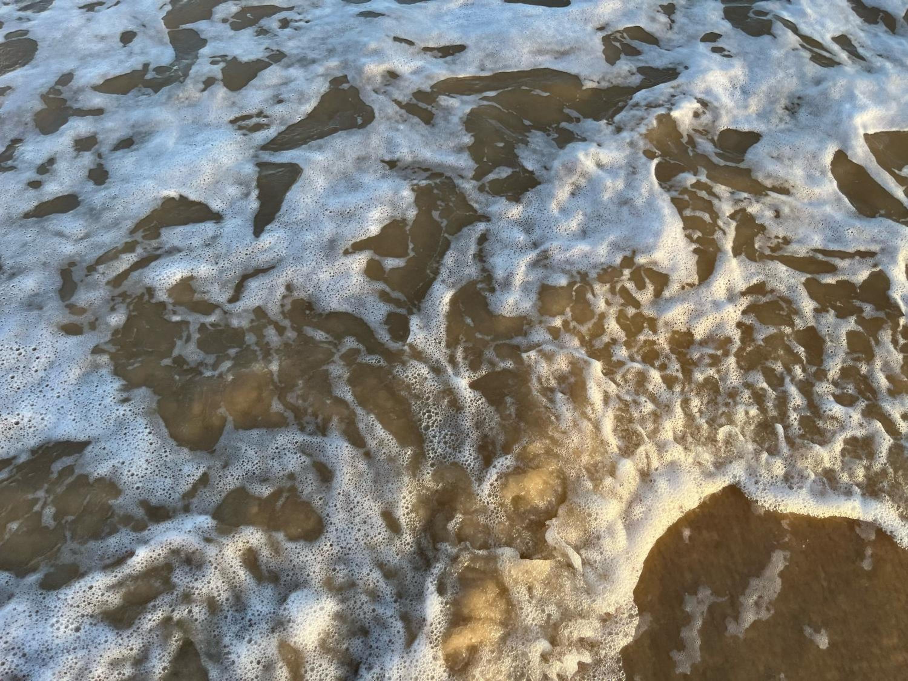 Chalés Mata da Praia Corumbau