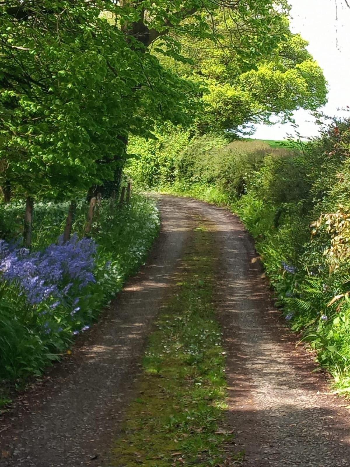 Vineyard Barns Gower