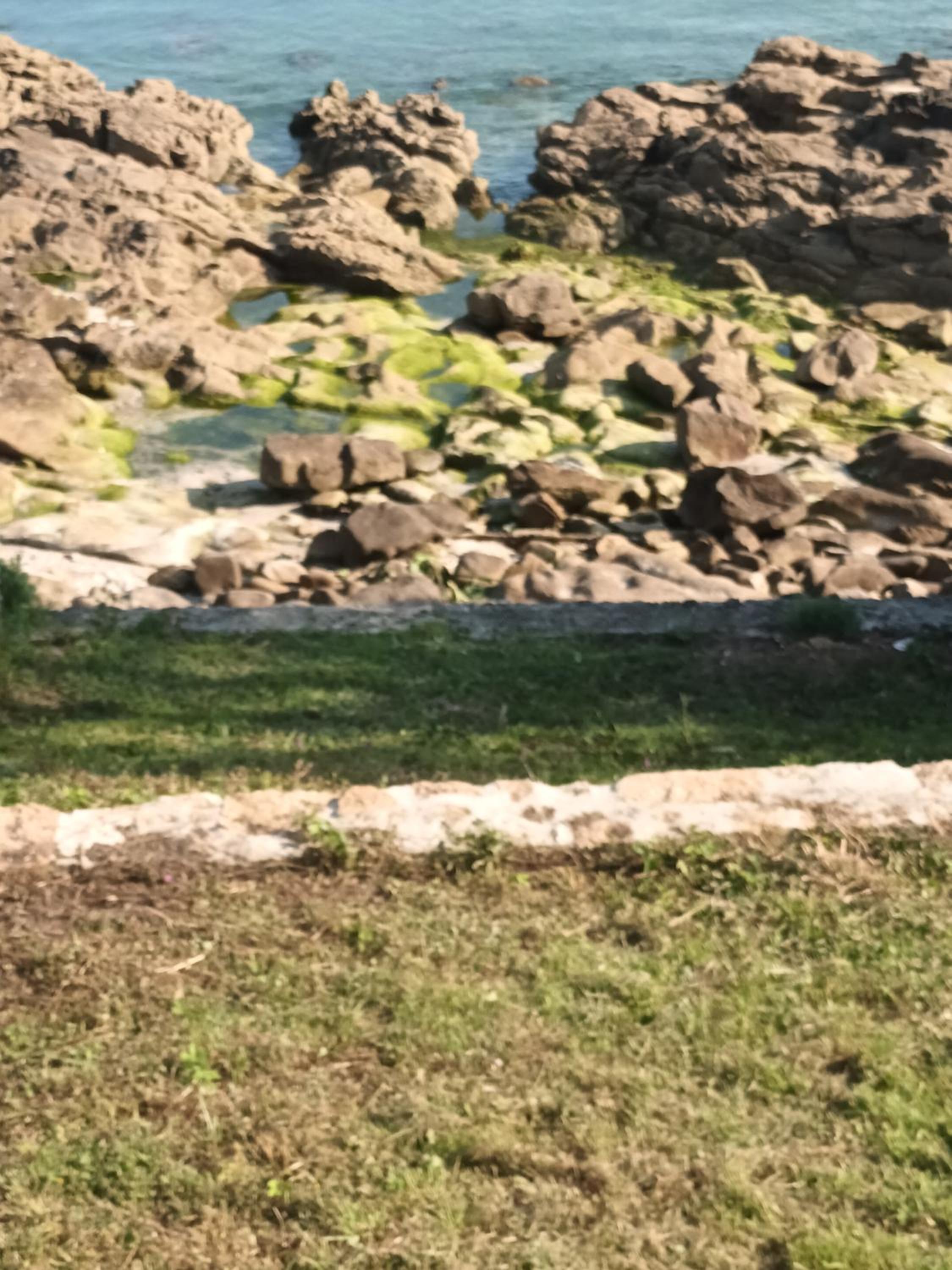 Casiña Palmira