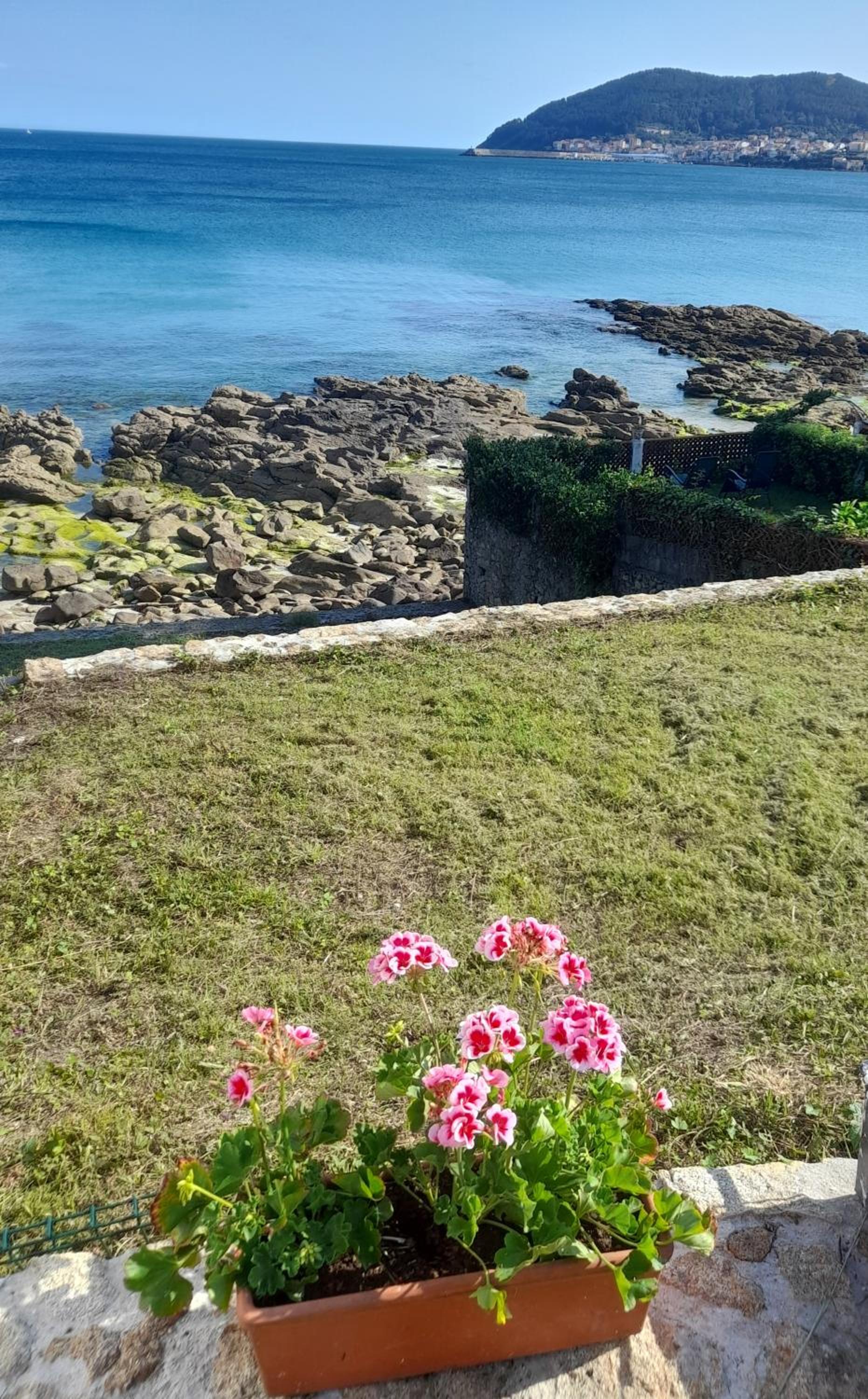 Casiña Palmira