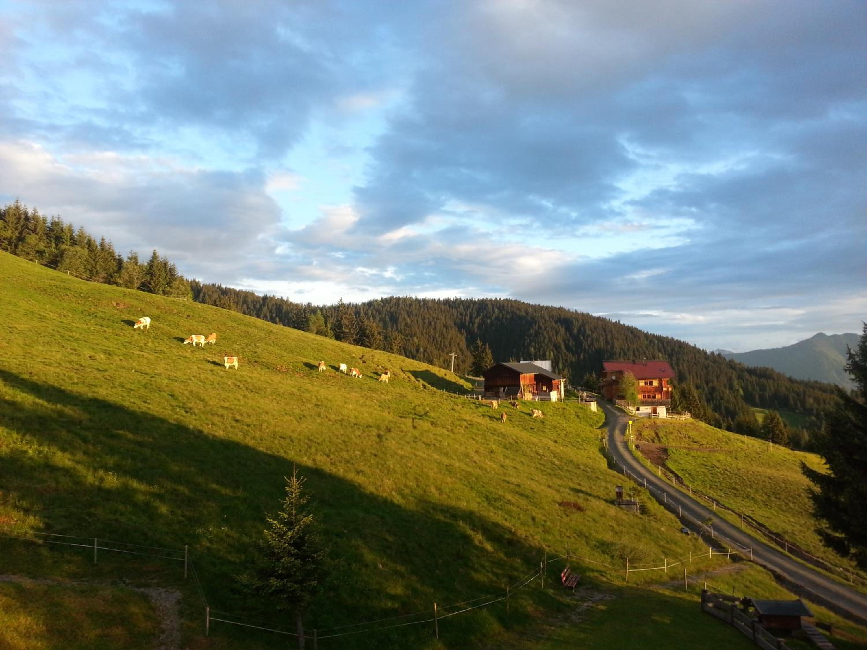 Berghaus Koglmoos