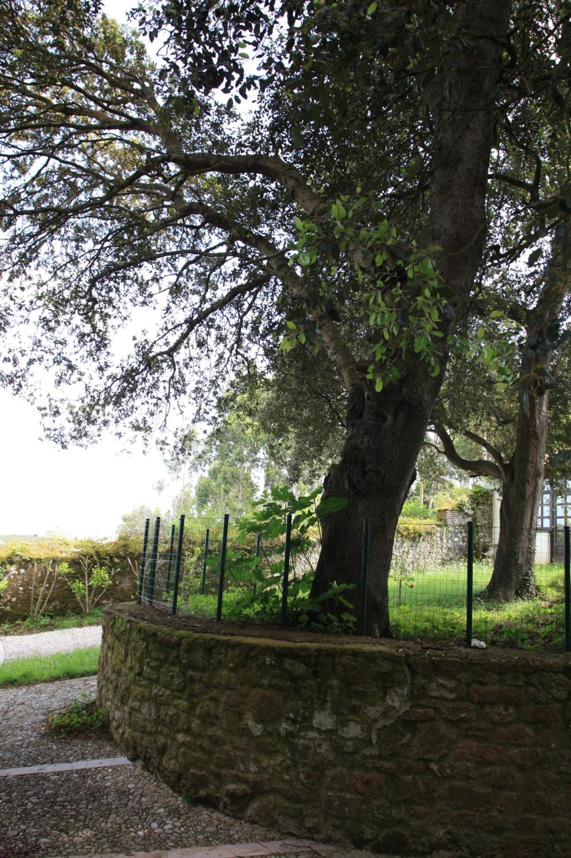 Apartamentos Turísticos Las Nieves