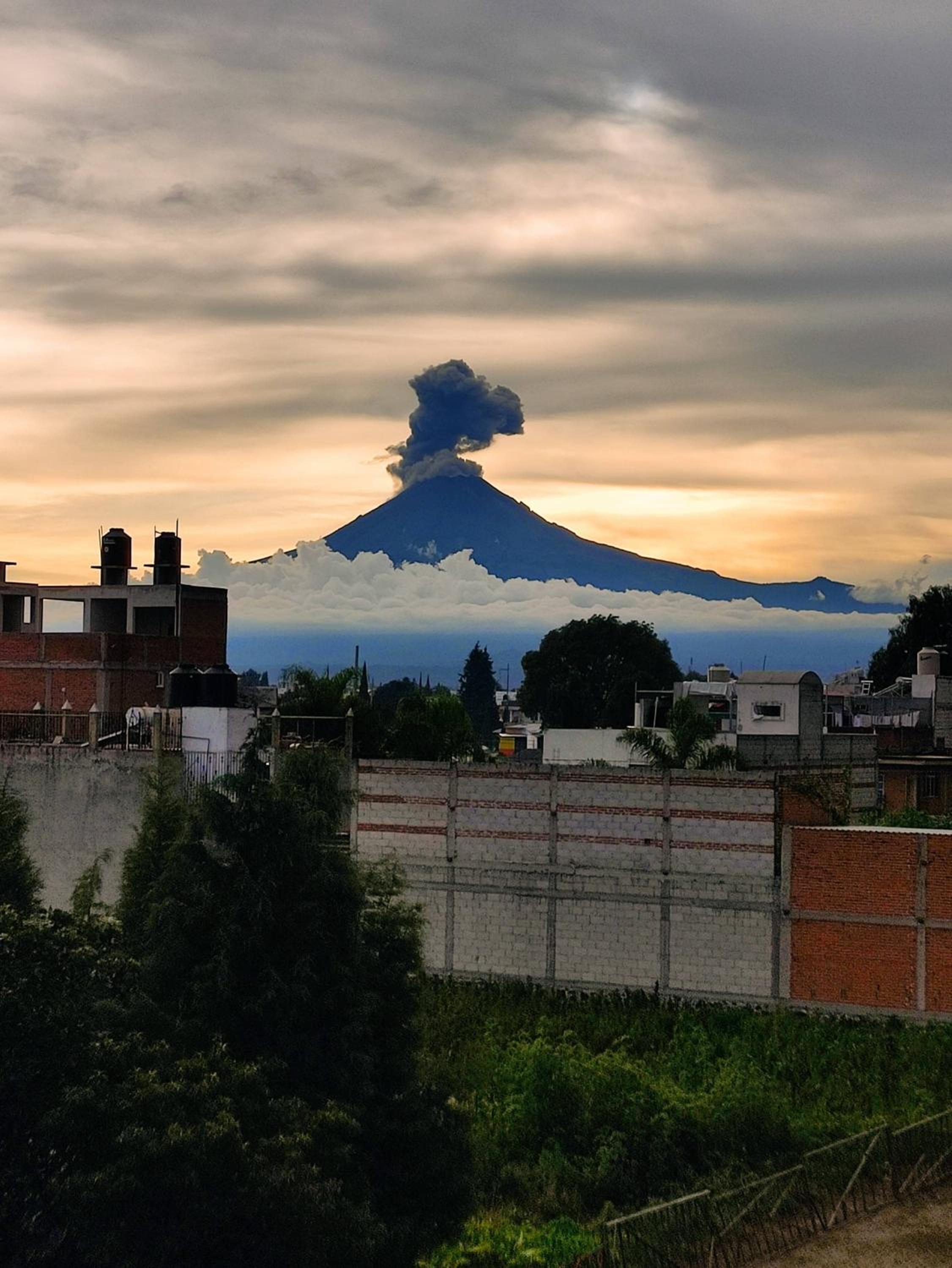 Departamento Xolotl (Dios guía y del fuego) view 3