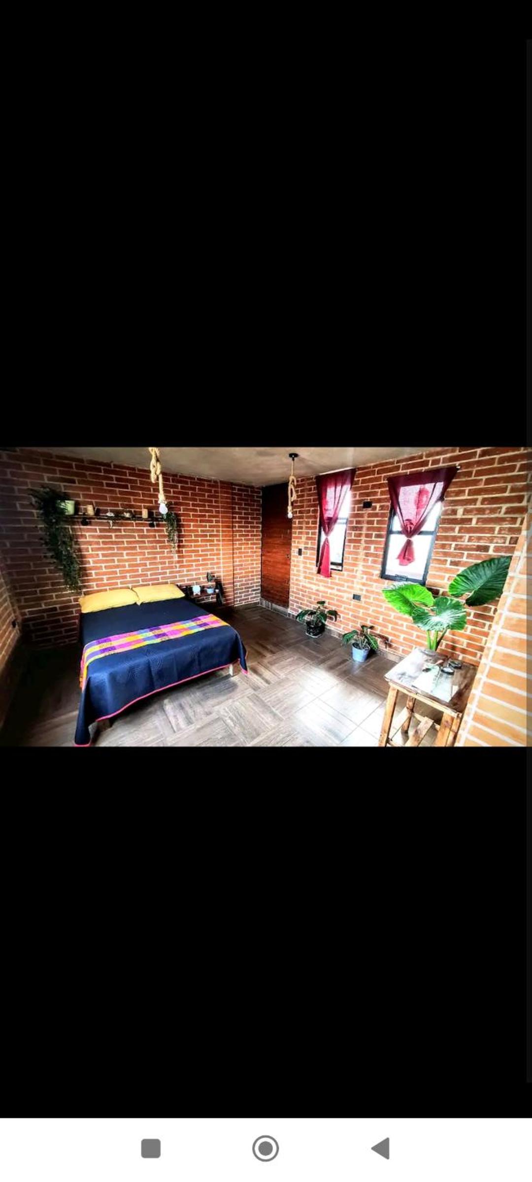 Departamento Xolotl (Dios guía y del fuego) view 5