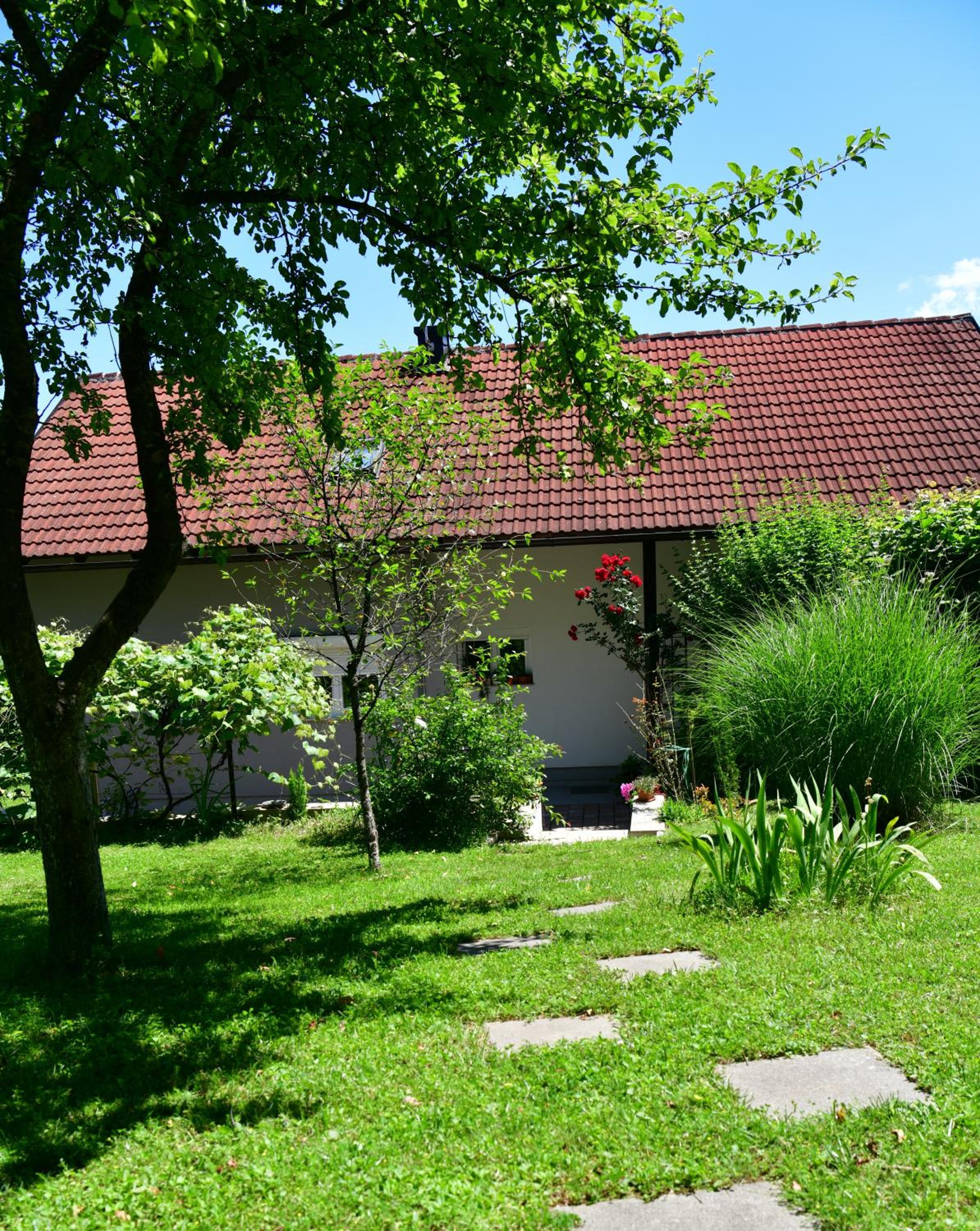 Apartments Marija view 4