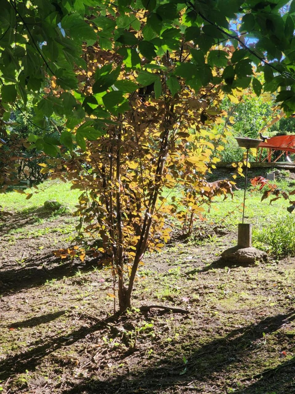 CASA EN VERTIENTES DE LA GRANJA