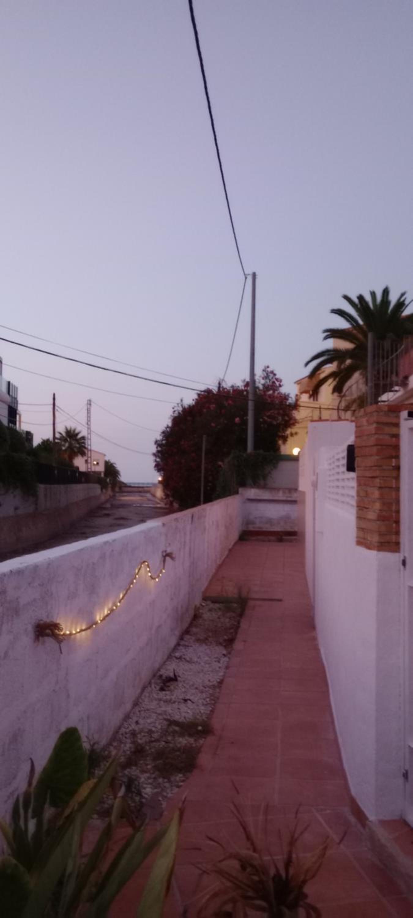 La sirenita