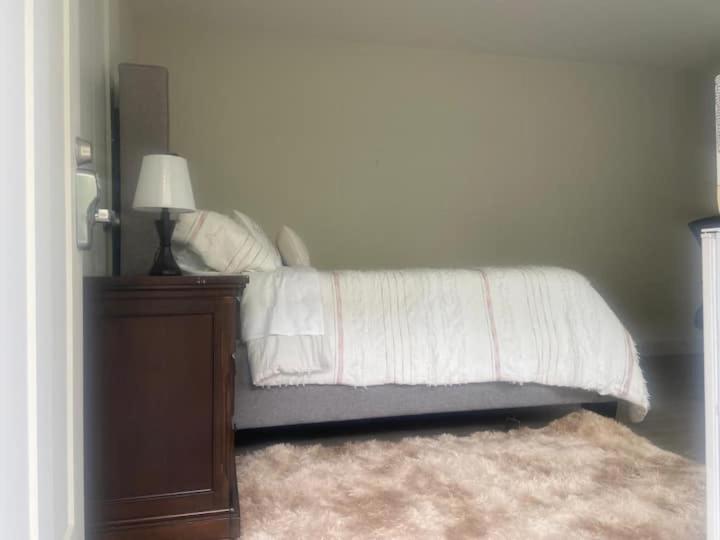 Spacious Room to Stay In