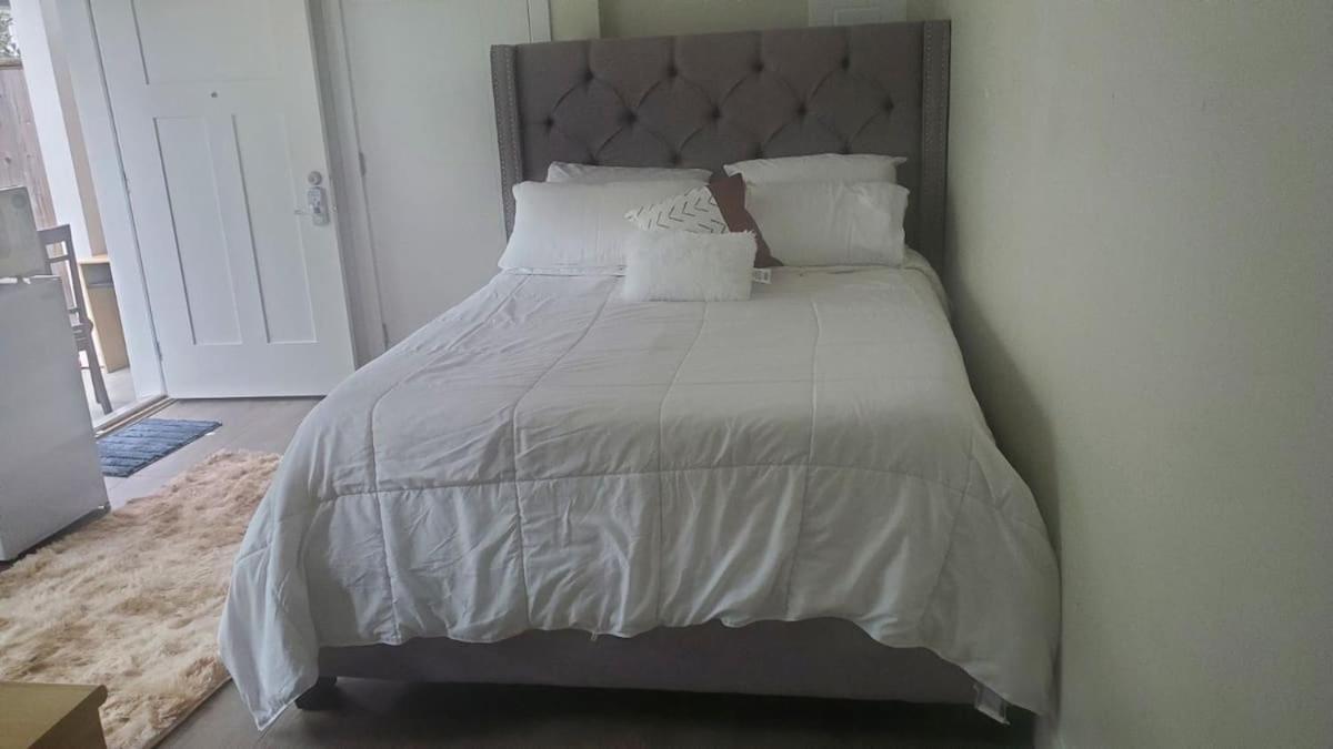 Spacious Room to Stay In