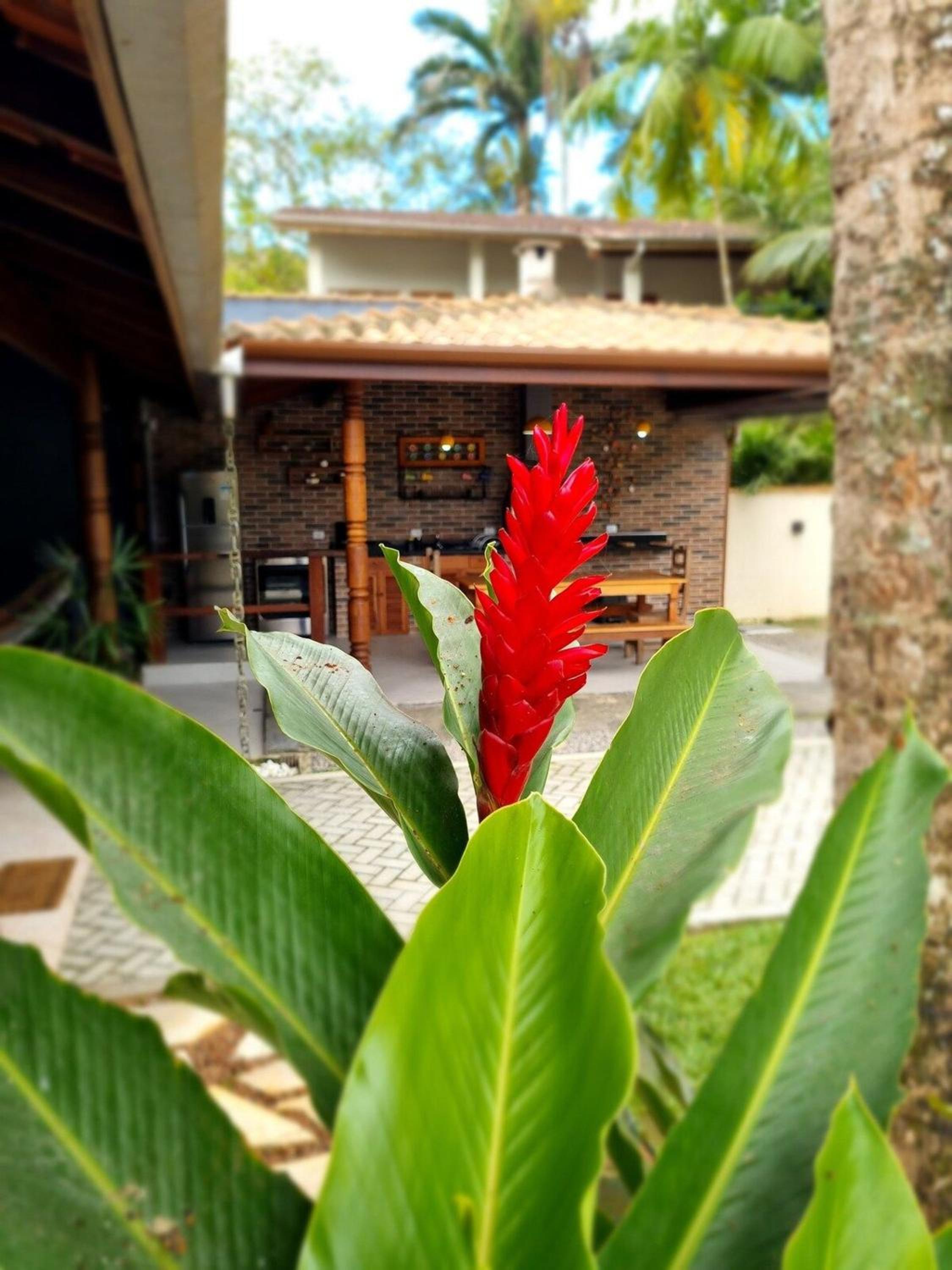 Recanto de Ubatuba