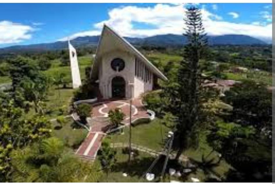 Casa las palmas