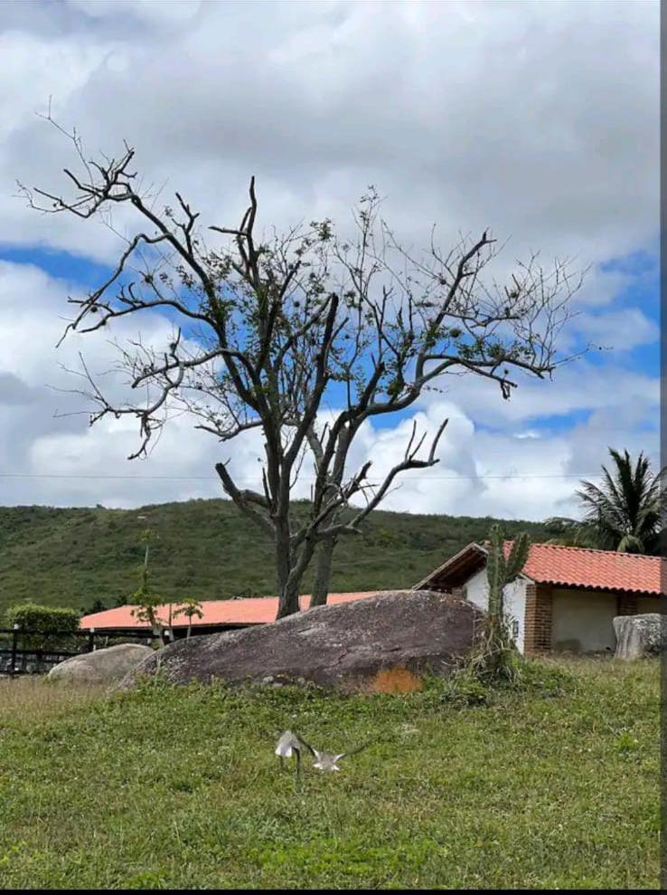 Flat no Hotel Fazenda Monte Castelo Gravatá Condomio