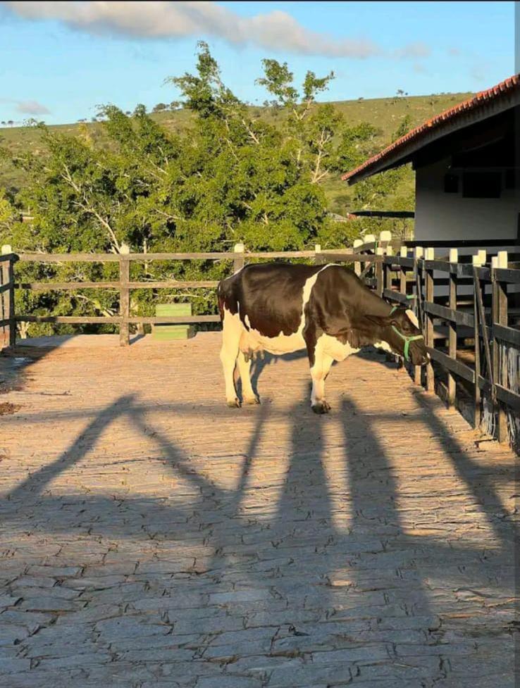 Flat no Hotel Fazenda Monte Castelo Gravatá Condomio