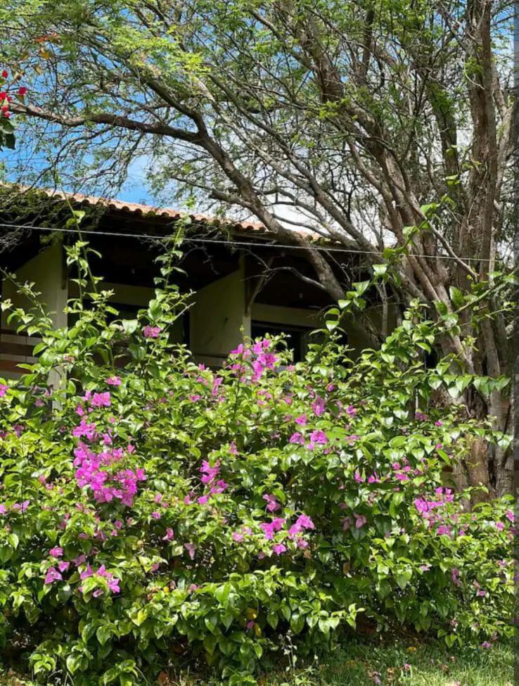 Flat no Hotel Fazenda Monte Castelo Gravatá Condomio
