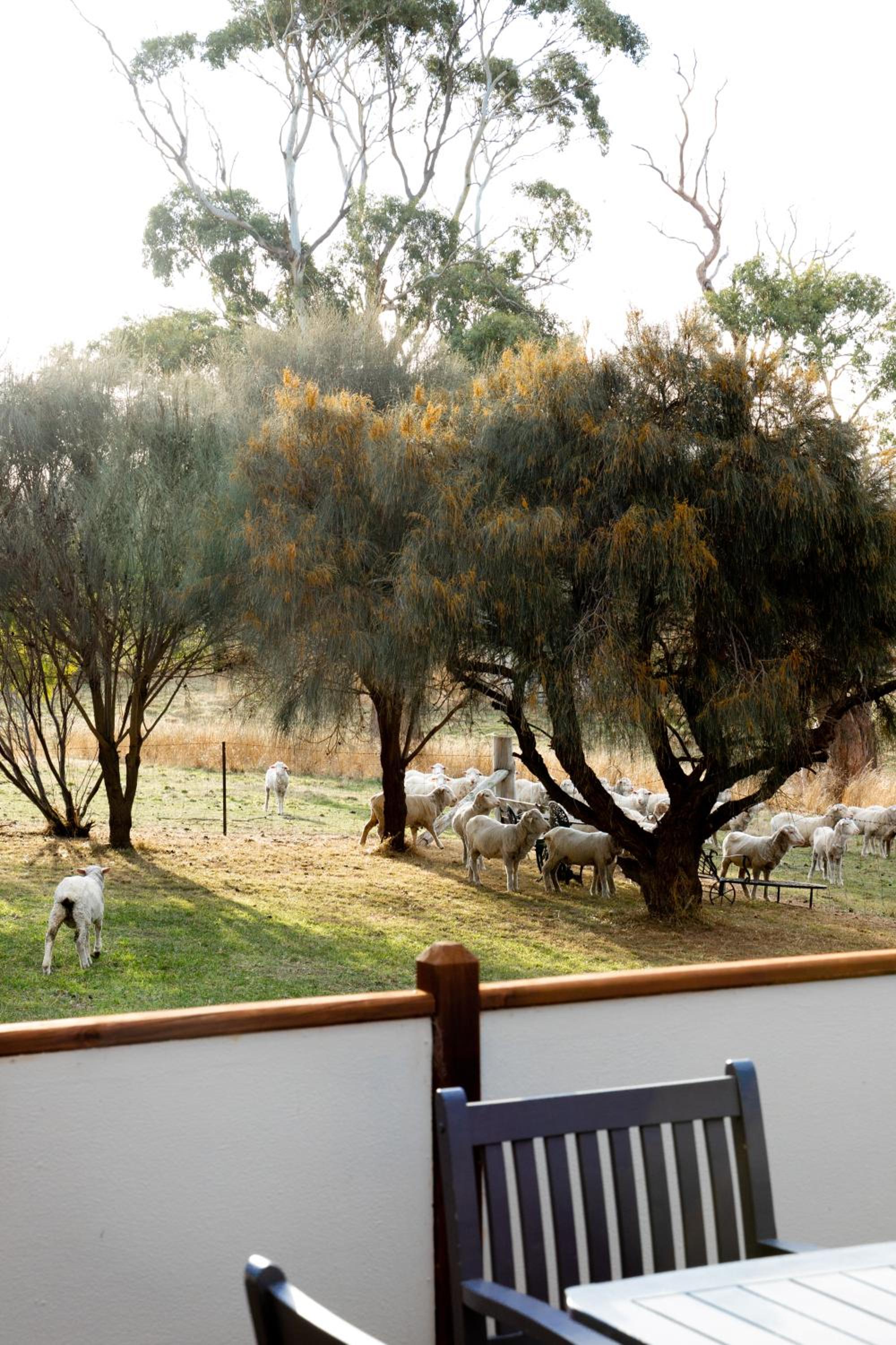 The Blacksmith's Cottage at Lisdillon Vineyard