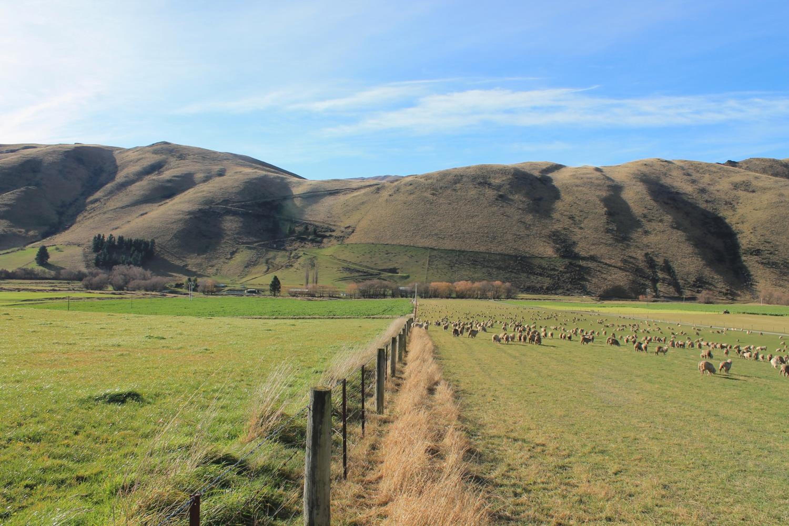 Bauchops Hill Station Farmstay