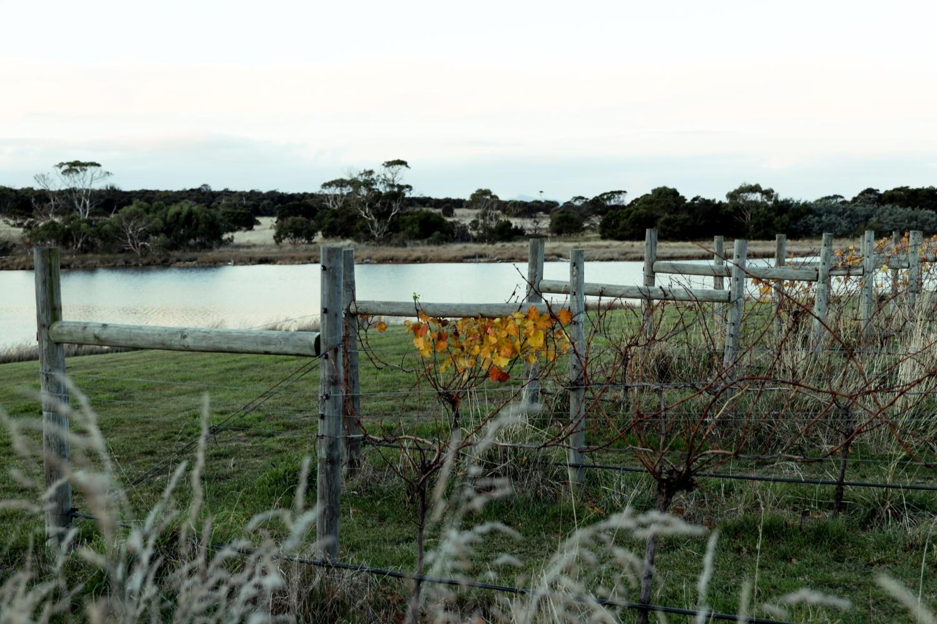 The Blacksmith's Cottage at Lisdillon Vineyard