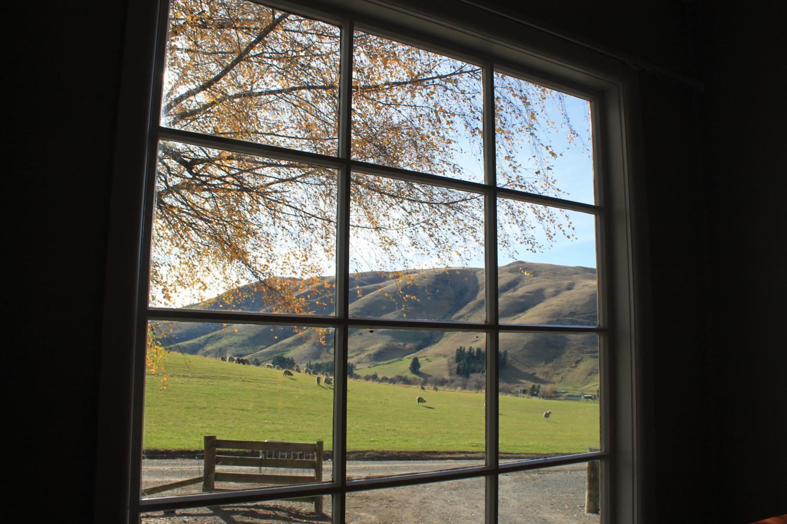 Bauchops Hill Station Farmstay