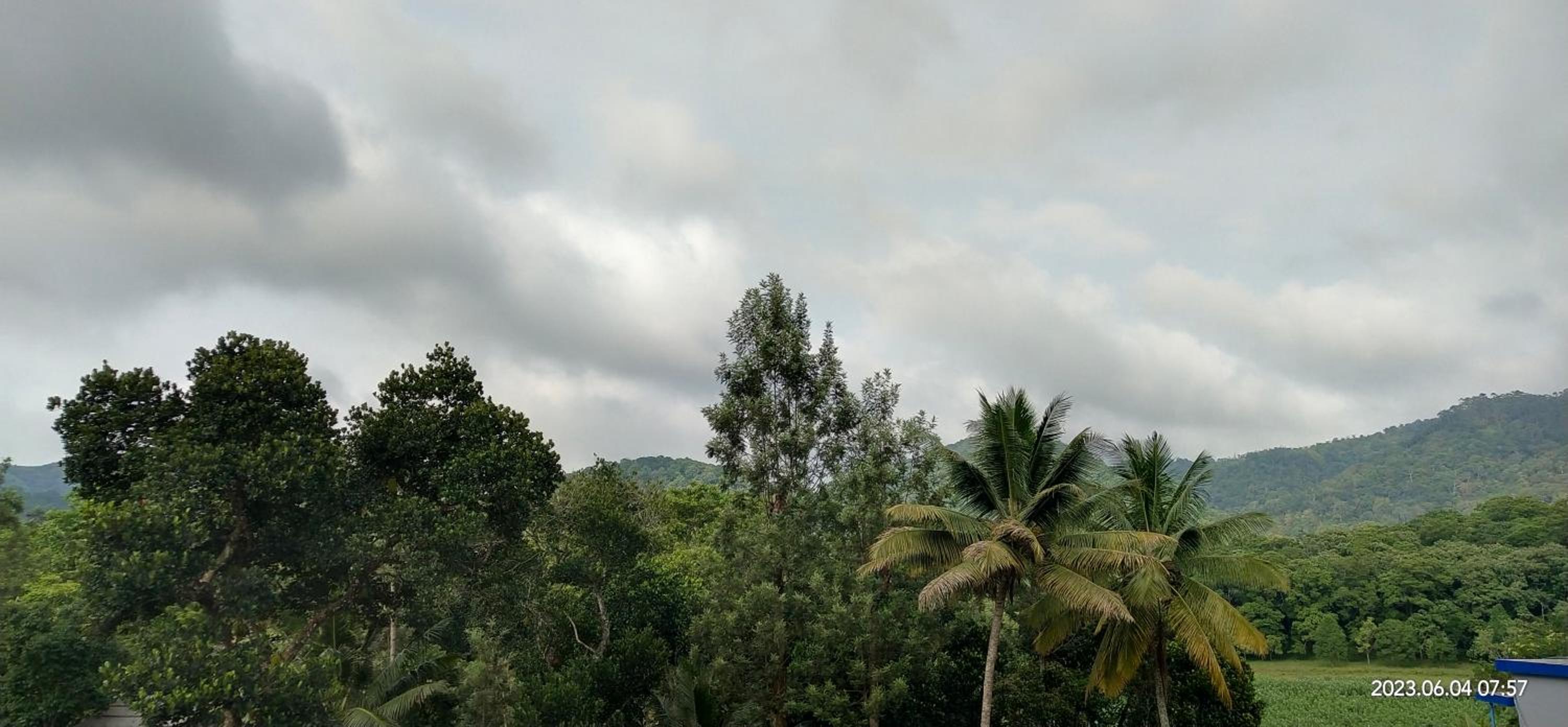 Floral Homestay