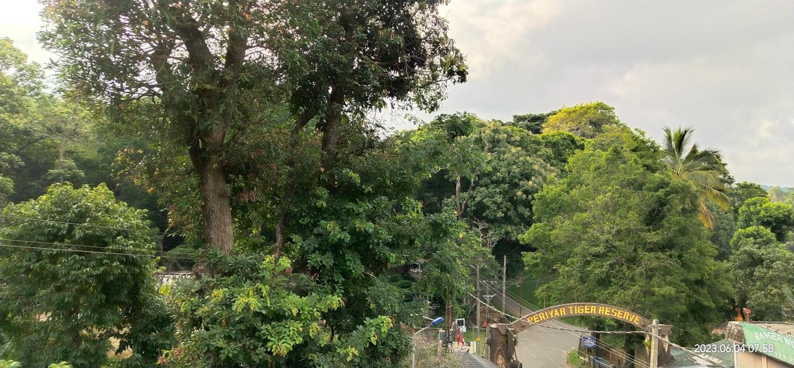 Floral Homestay