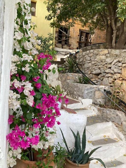 Maison avec terrasses et vues photo 2