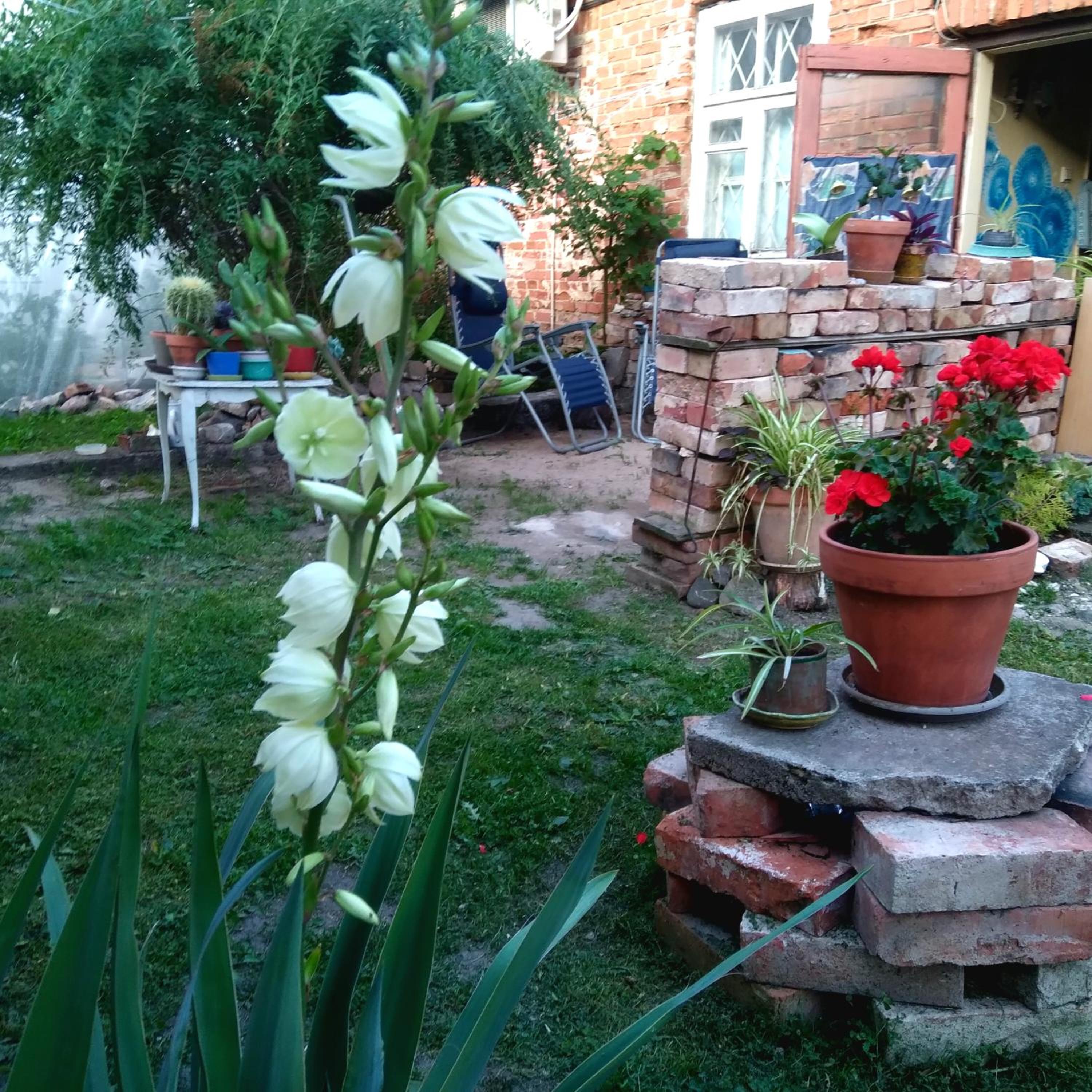Kabina